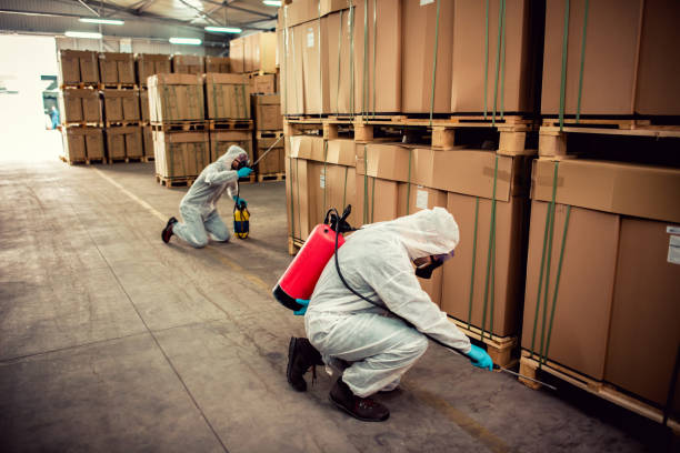 Pest Prevention Services in Stevensville, MD