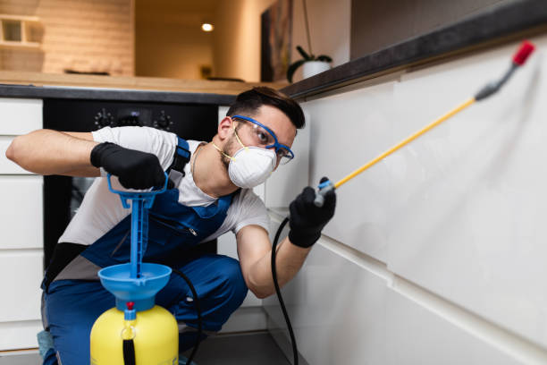 Best Cockroach Control Services  in Stevensville, MD