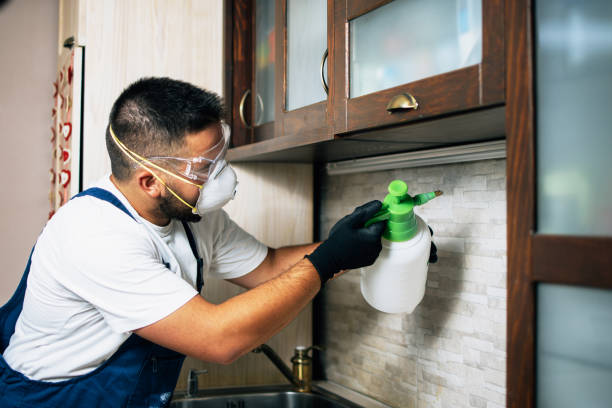 Wildlife Control Services in Stevensville, MD