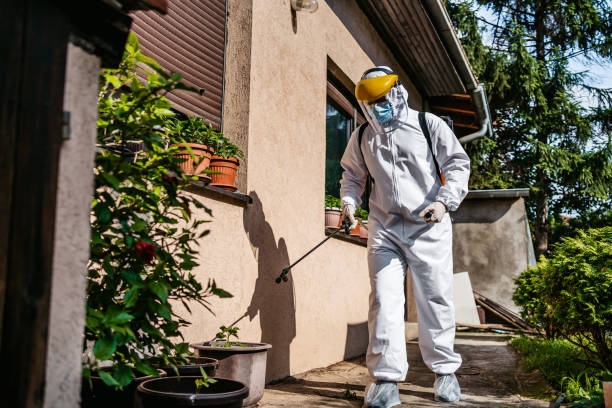 Best Best Pest Control Companies  in Stevensville, MD