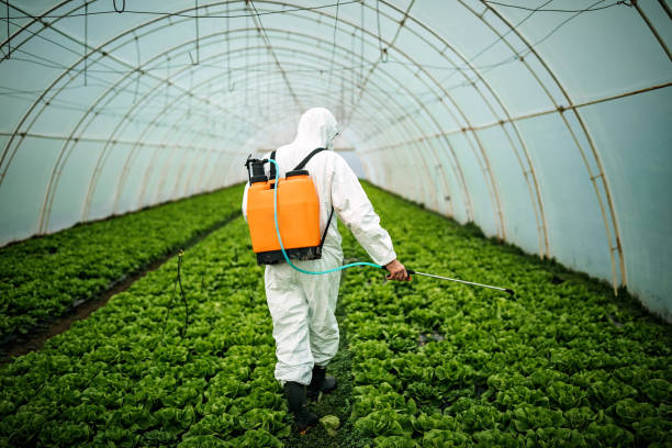 Best Pest Inspection Near Me  in Stevensville, MD