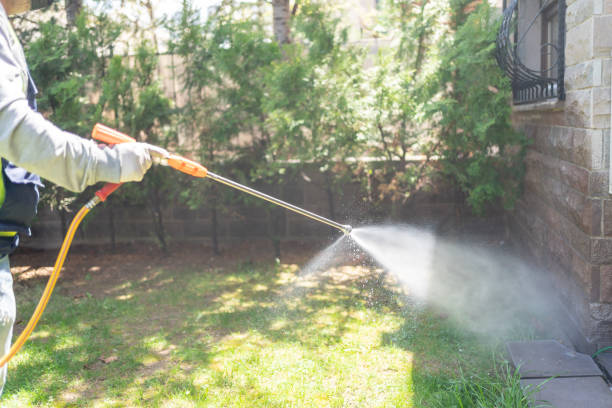 Bird Control in Stevensville, MD