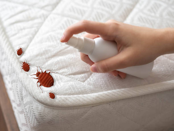 Best Affordable Pest Control Services  in Stevensville, MD