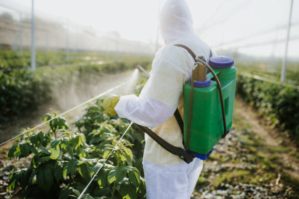 Best Pest Control Treatment  in Stevensville, MD